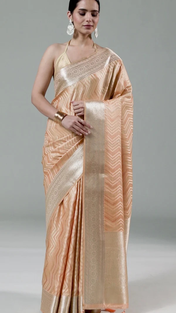 Chic Charm Designer Saree